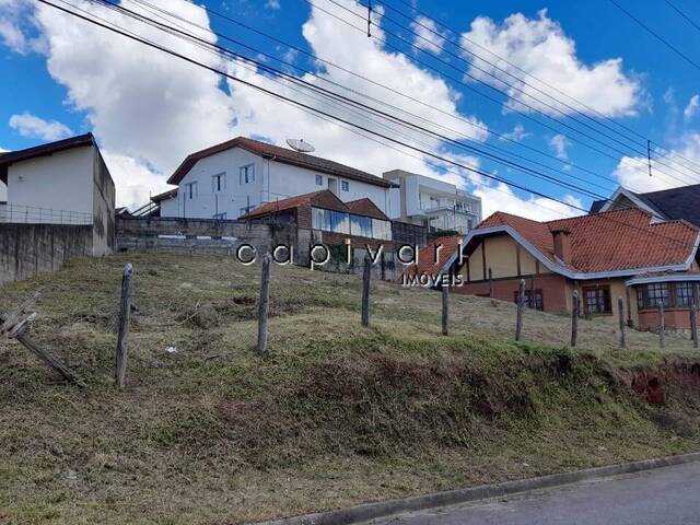 #1076 - Terreno para Venda em Campos do Jordão - SP - 2