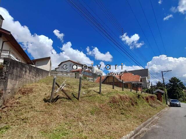 #1076 - Terreno para Venda em Campos do Jordão - SP - 3