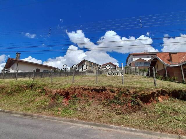 #1076 - Terreno para Venda em Campos do Jordão - SP - 1