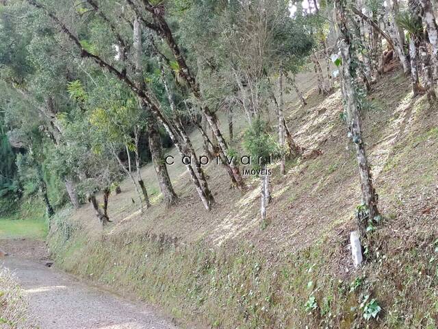 Terreno em condomínio para Venda em Campos do Jordão - 5