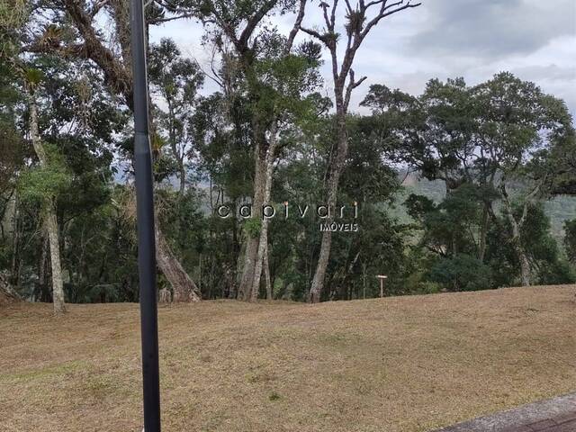 #1119 - Terreno em condomínio para Venda em Campos do Jordão - SP - 1