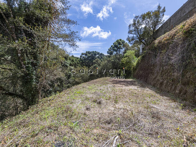 #1210 - Terreno em condomínio para Venda em Campos do Jordão - SP - 3