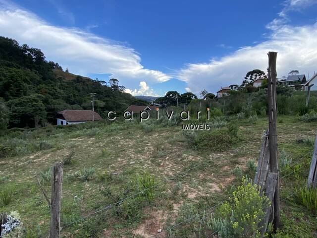 #1229 - Terreno para Venda em Campos do Jordão - SP - 2