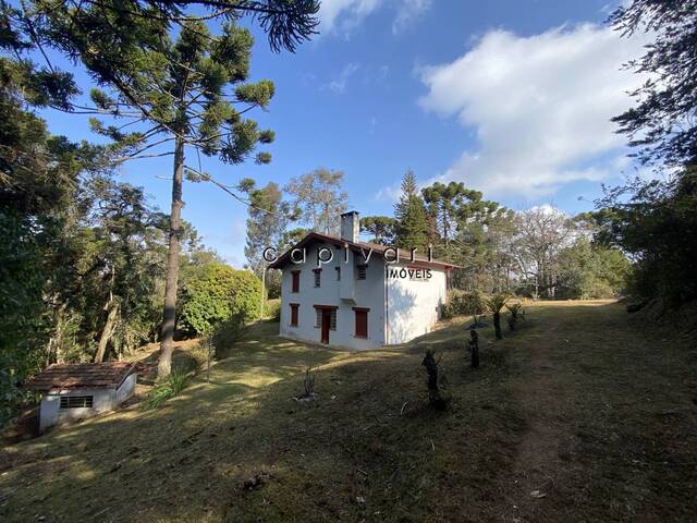 #1231 - Área para Venda em Campos do Jordão - SP - 3