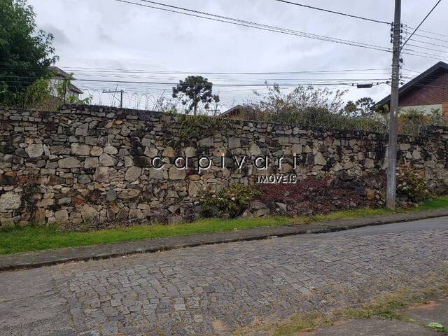 #1264 - Terreno para Venda em Campos do Jordão - SP - 1