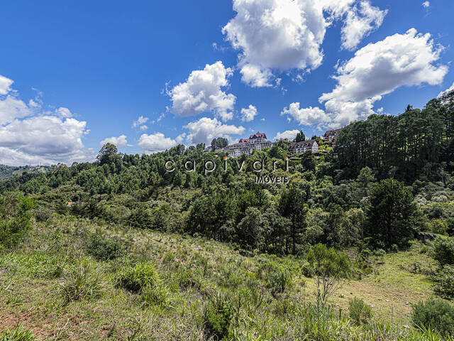 #1312 - Terreno para Venda em Campos do Jordão - SP - 2