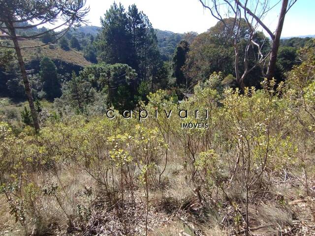 #1361 - Terreno para Venda em Campos do Jordão - SP - 2