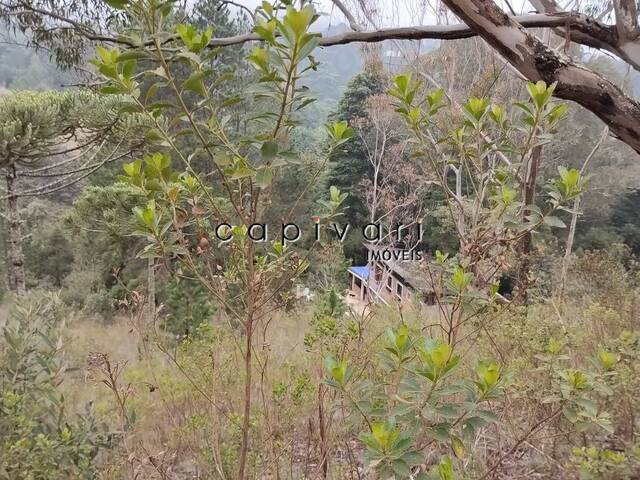 #1361 - Terreno para Venda em Campos do Jordão - SP - 3