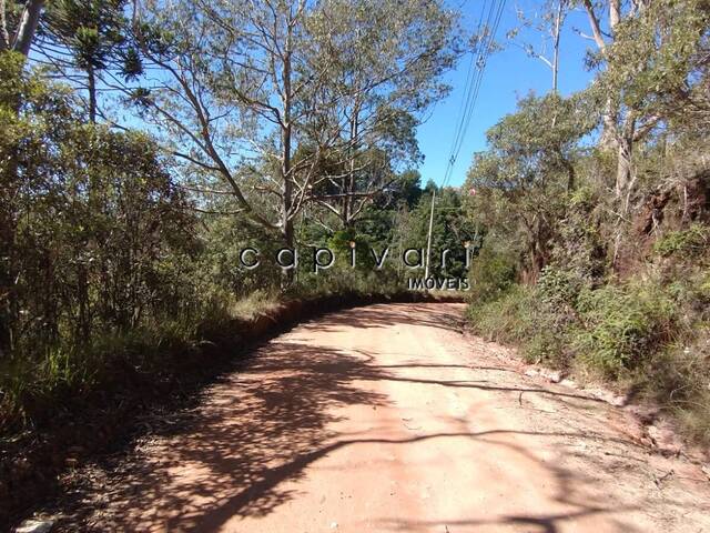 #1361 - Terreno para Venda em Campos do Jordão - SP - 1