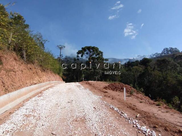 #1394 - Terreno em condomínio para Venda em Campos do Jordão - SP - 2