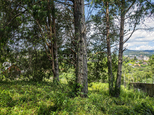 #1426 - Terreno para Venda em Campos do Jordão - SP - 2