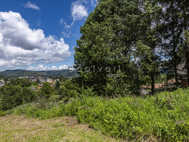 Terreno para Venda em Campos do Jordão - 5