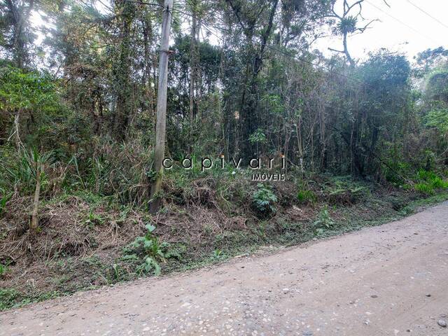 Terreno para Venda em Campos do Jordão - 4