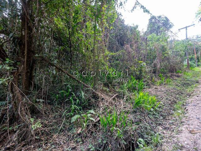 Terreno para Venda em Campos do Jordão - 5