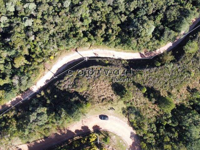 Área para Venda em Campos do Jordão - 5