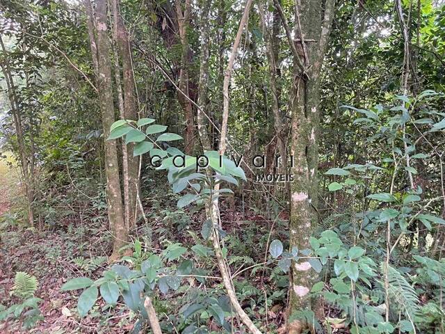 Terreno para Venda em Campos do Jordão - 4
