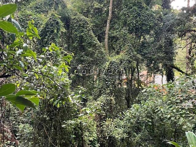 Terreno para Venda em Campos do Jordão - 5