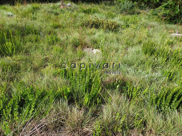 #1560 - Terreno em condomínio para Venda em Campos do Jordão - SP - 2