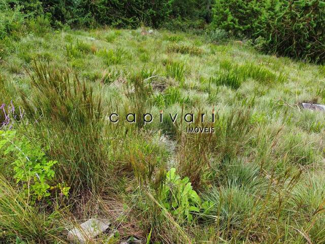 #1560 - Terreno em condomínio para Venda em Campos do Jordão - SP - 3