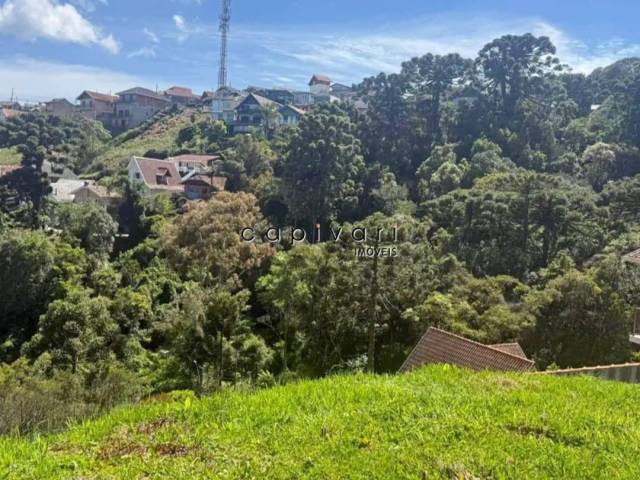 #1669 - Terreno para Venda em Campos do Jordão - SP - 2