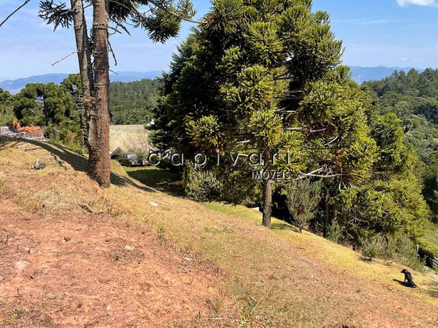 #1671 - Casa para Venda em Campos do Jordão - SP