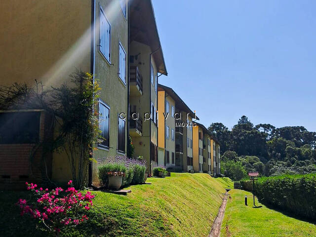 #1703 - Apartamento para Locação em Campos do Jordão - SP - 1