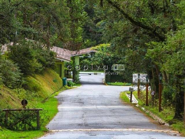 #178 - Terreno em condomínio para Venda em Campos do Jordão - SP - 2