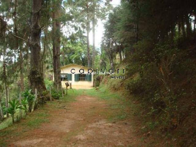 #81 - Casa para Venda em Campos do Jordão - SP - 3