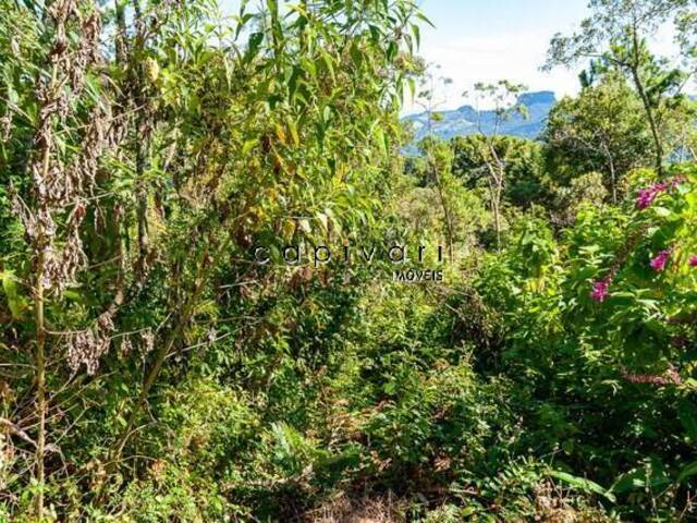 #940 - Terreno para Venda em Campos do Jordão - SP - 2