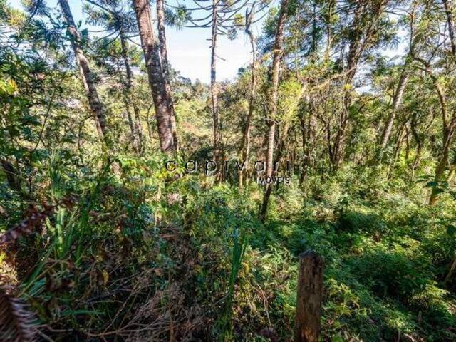 Terreno para Venda em Campos do Jordão - 4