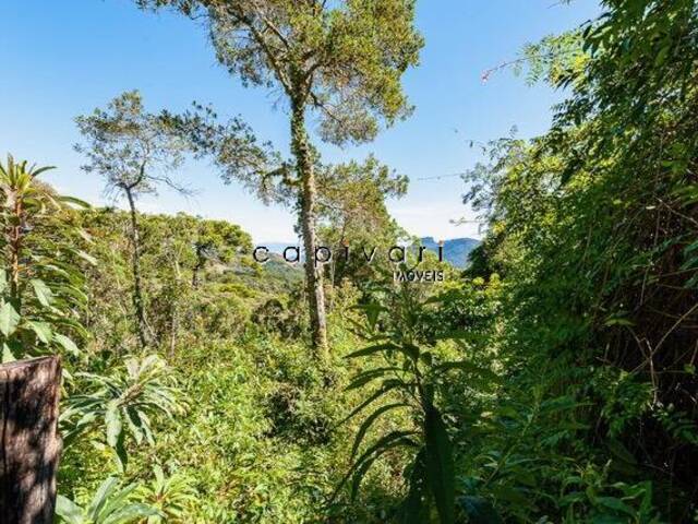 Terreno para Venda em Campos do Jordão - 5