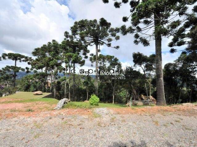 #191 - Terreno em condomínio para Venda em Campos do Jordão - SP - 2