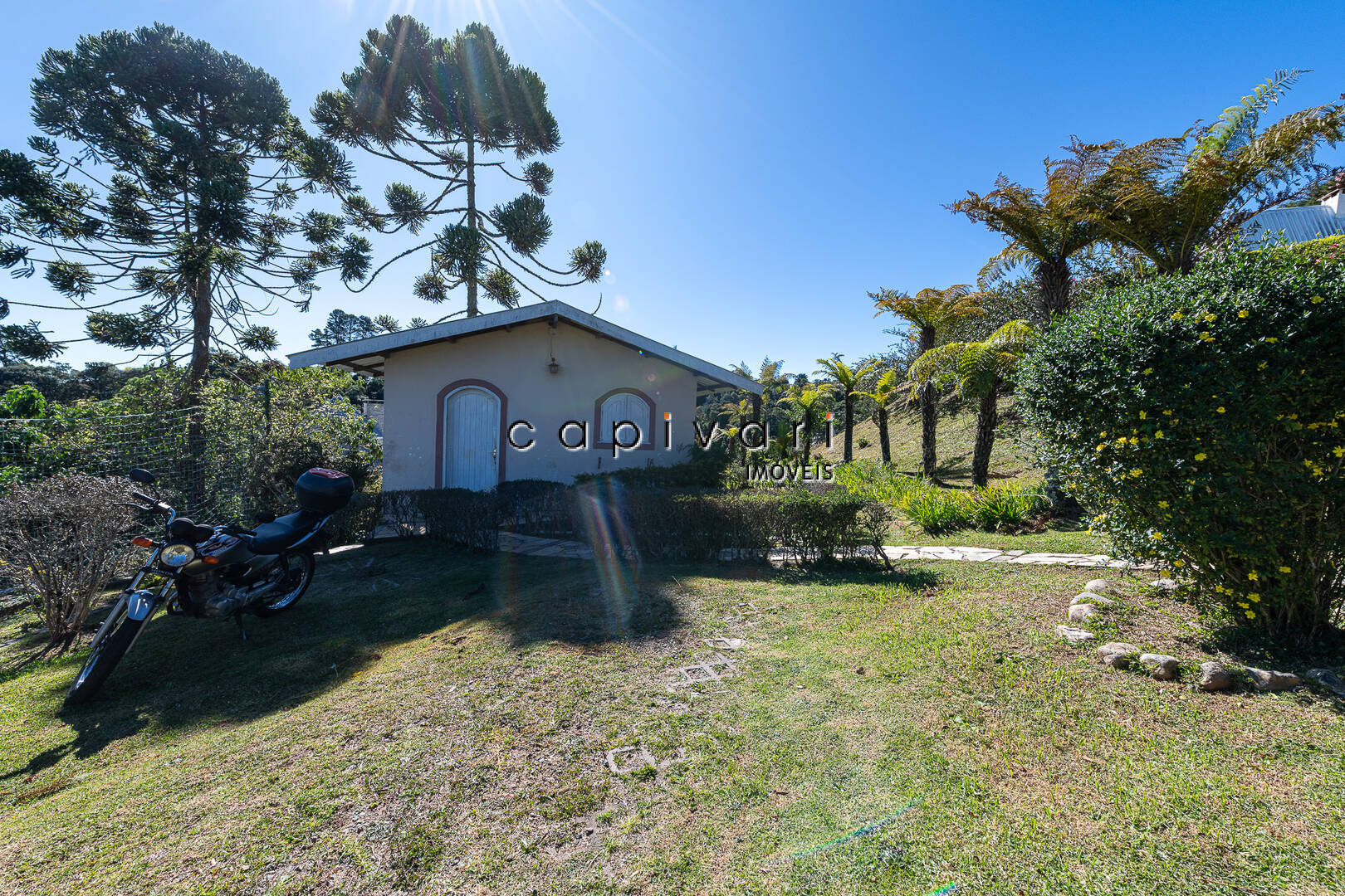 Casa, 6 quartos, 450 m² - Foto 5