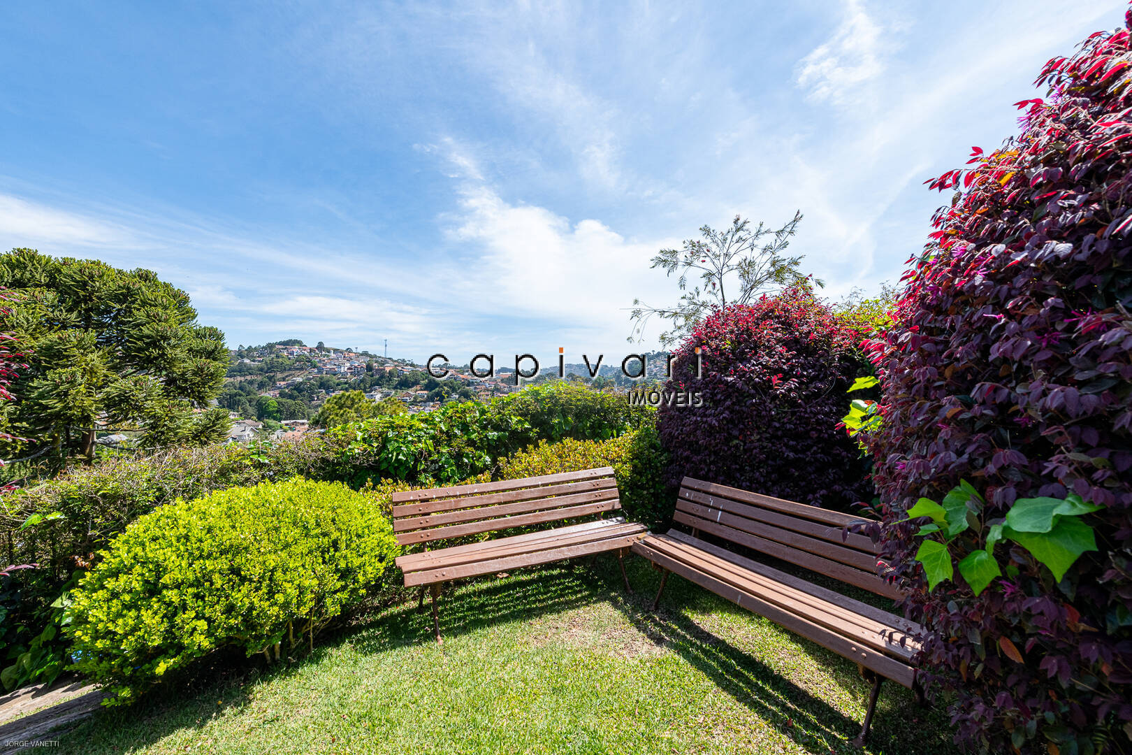 Casa, 4 quartos, 244 m² - Foto 4