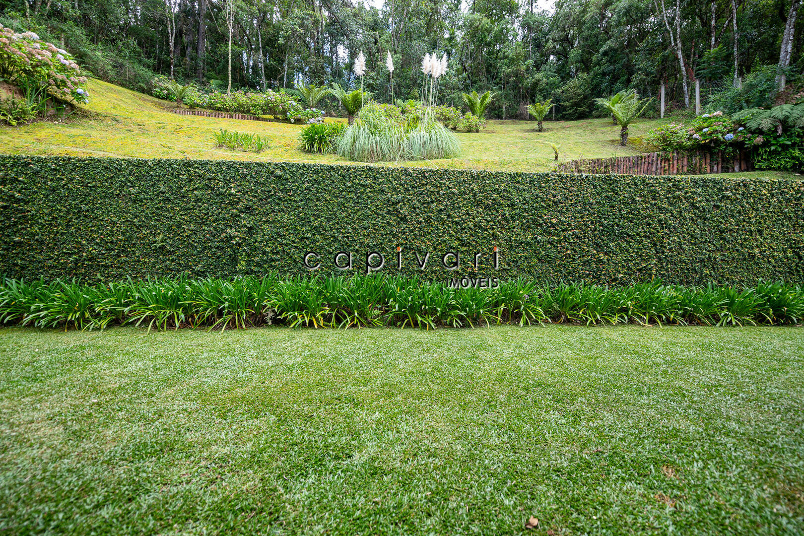 Casa, 5 quartos, 333 m² - Foto 17