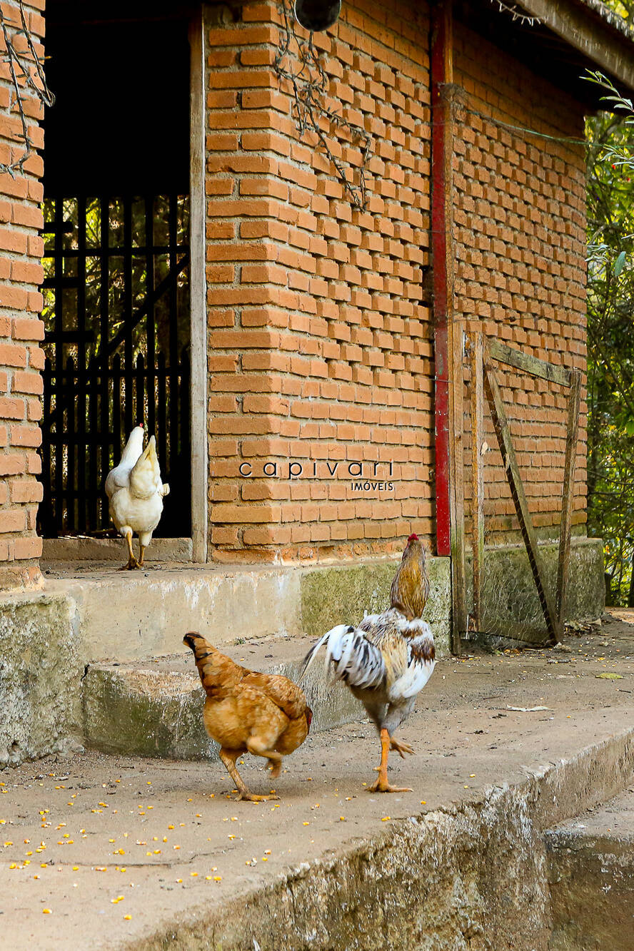 Sítio, 5 quartos, 2 hectares - Foto 41