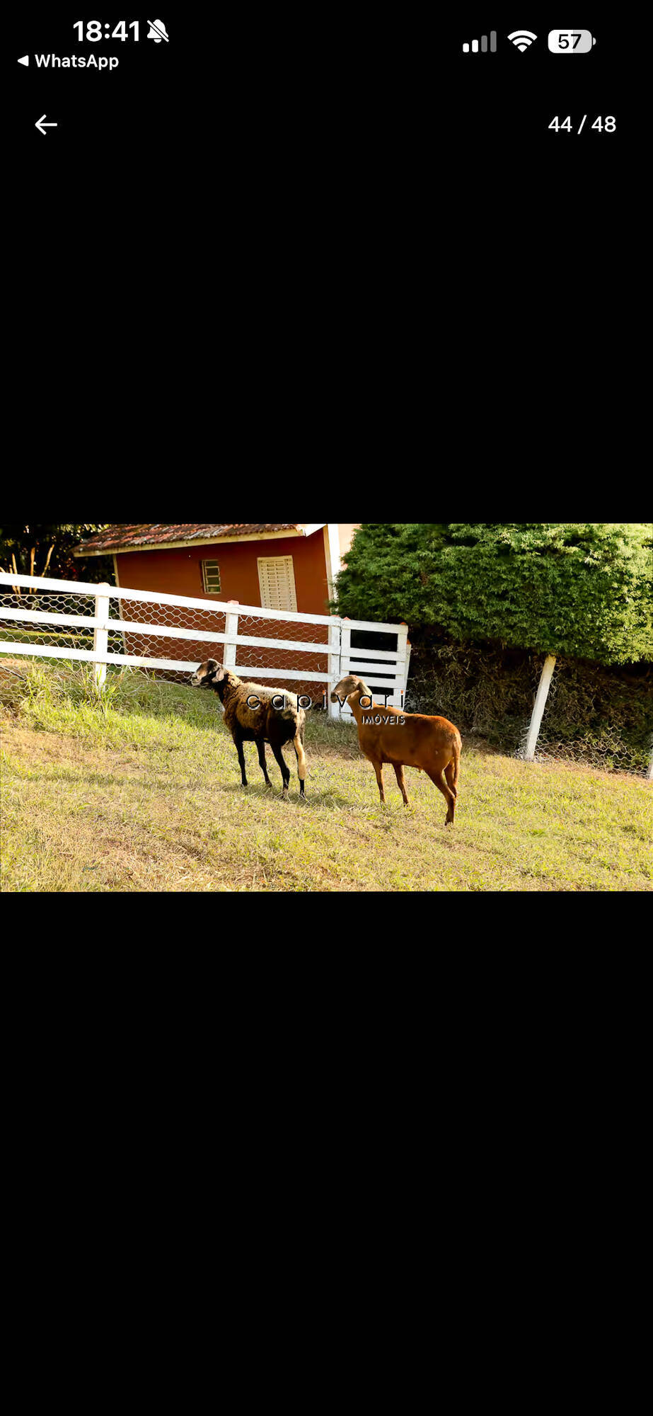 Sítio, 5 quartos, 2 hectares - Foto 61